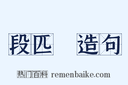 段匹磾造句是什么意思的图片
